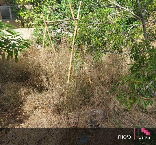גינה עם צמחים ומבנה עץ קטן