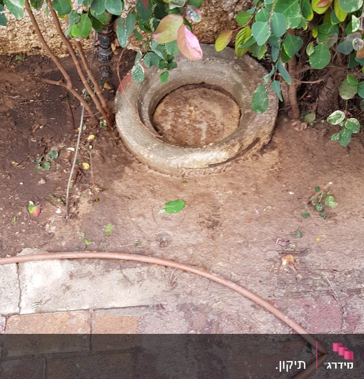 צינור מים על אדמה ליד שיחים ירוקים