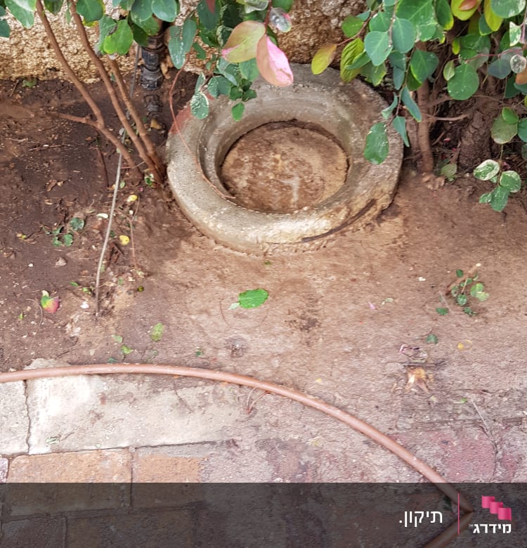 צינור מים על אדמה ליד שיחים ירוקים