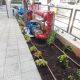 שתילת צמחייה ופריסת צנרת טפטפות בערוגה לצד מערכת משאבות מים