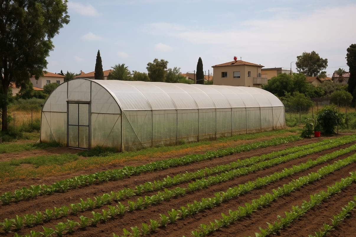 היתר בנייה לחממה היתר בנייה לחממה