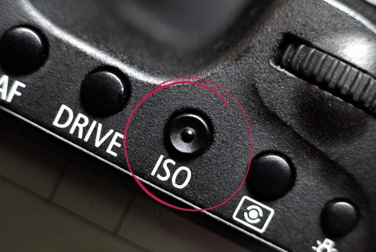iso בצילום iso בצילום