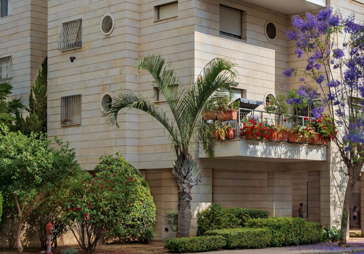 גינון מסביב לבניין גינון מסביב לבניין