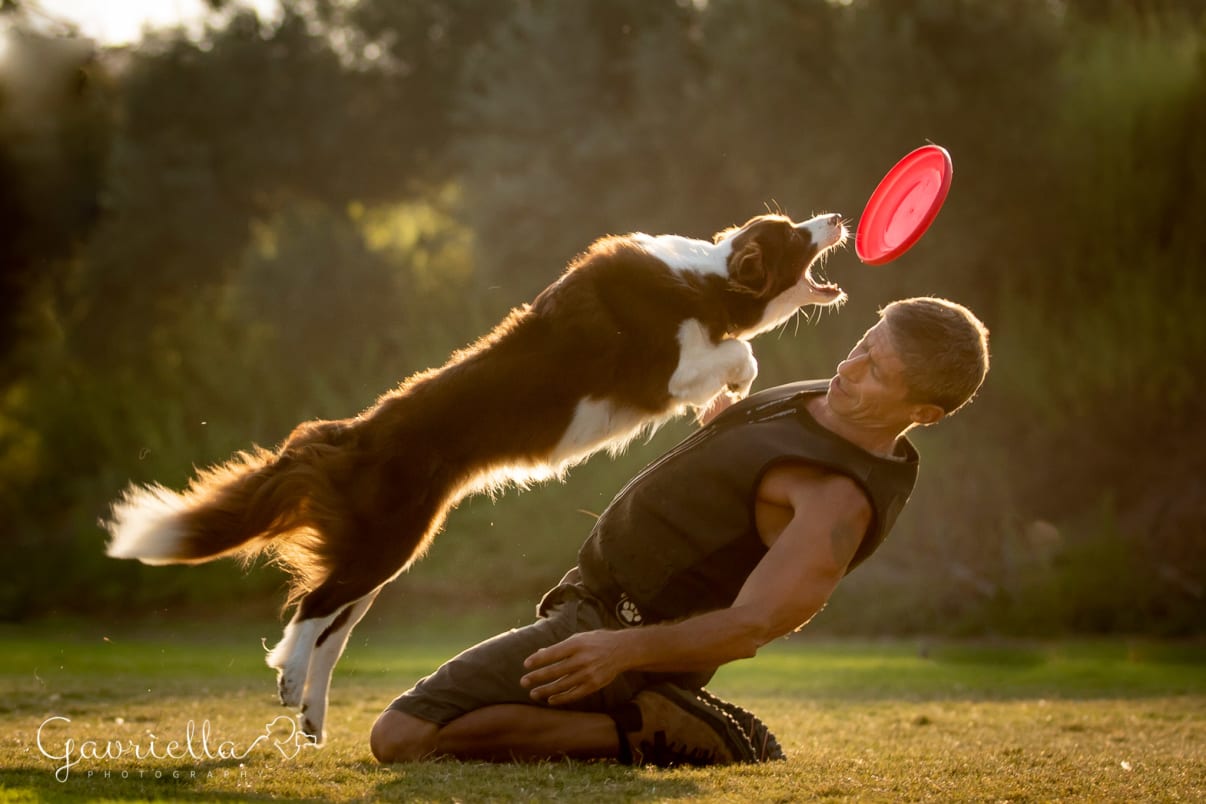 מאלף בפנסיון עם כלב