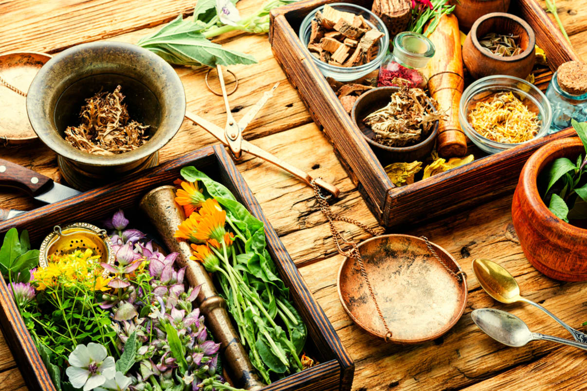 תזונה ונטורופתיה