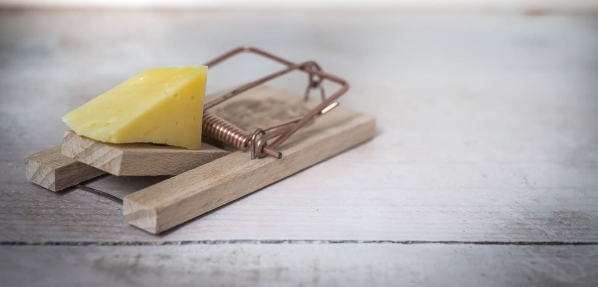 מחירים של מדבירים