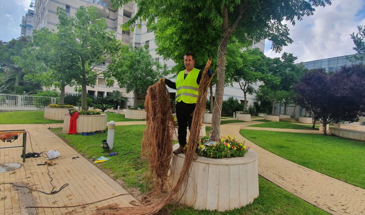 חיתוך שורשים בביוב