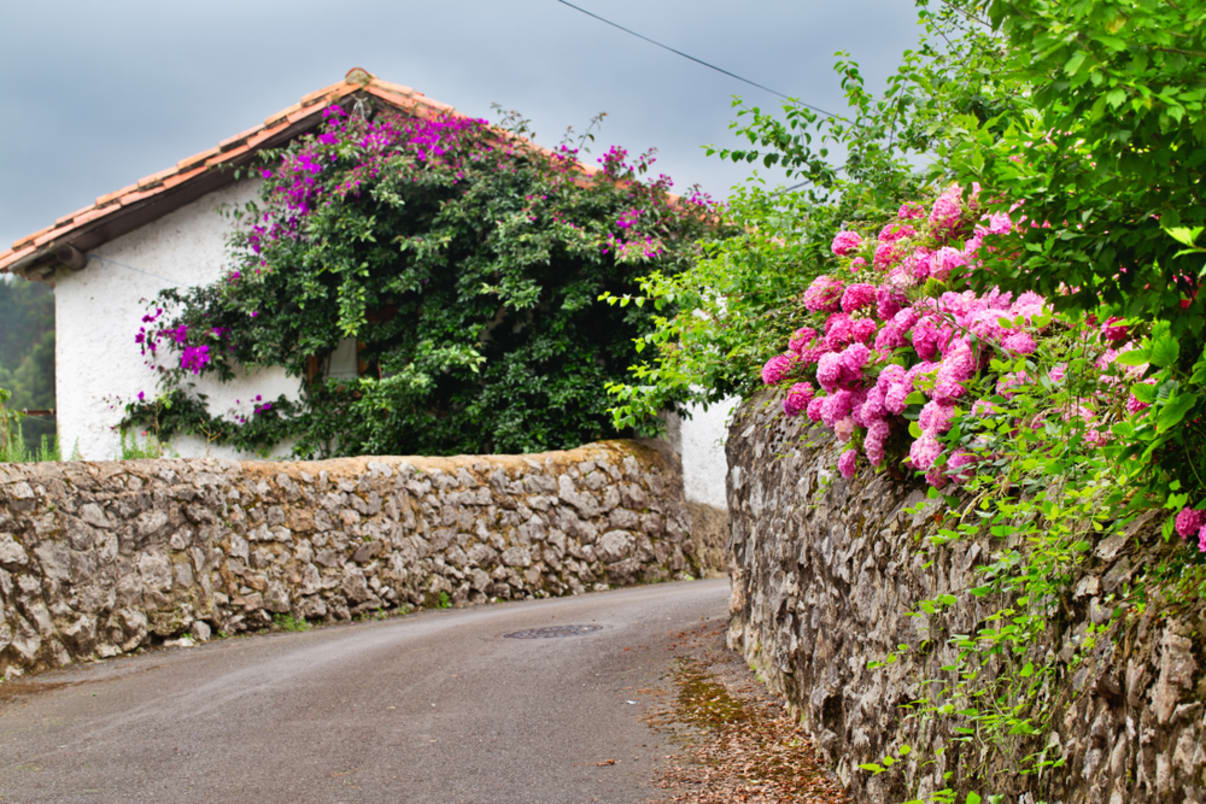 גדר אבן שצריכה היתר בניה גדר אבן שצריכה היתר בניה