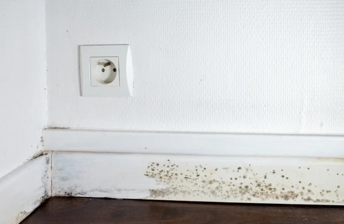 רטיבות בין הפנלים לריצוף