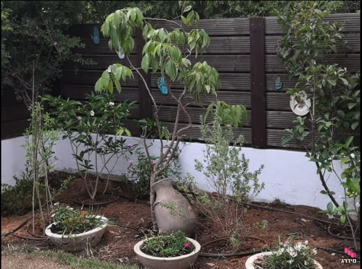 עציצים בהשקיית טפטפות | מדריך מידרג למחשב השקיה  עציצים בהשקיית טפטפות | מדריך מידרג למחשב השקיה
