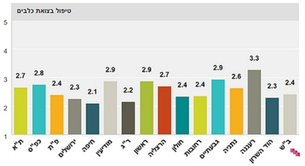 טיפול בצואת כלבים טיפול בצואת כלבים