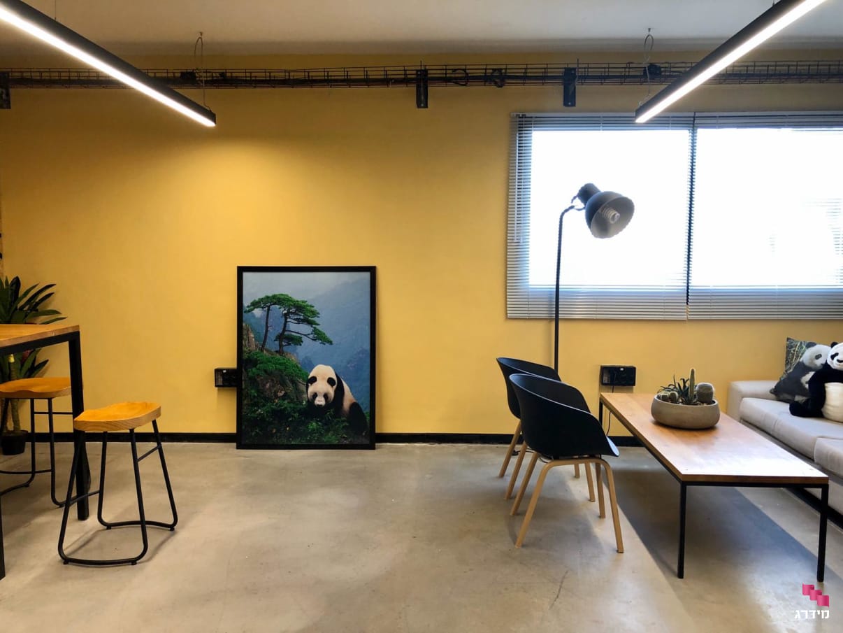 עבודת צבע לבית אחרי שיפוץ  עבודת צבע לבית אחרי שיפוץ