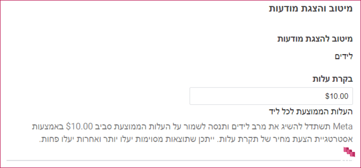 פרסום בפייסבוק - בקרת עלות  פרסום בפייסבוק - בקרת עלות