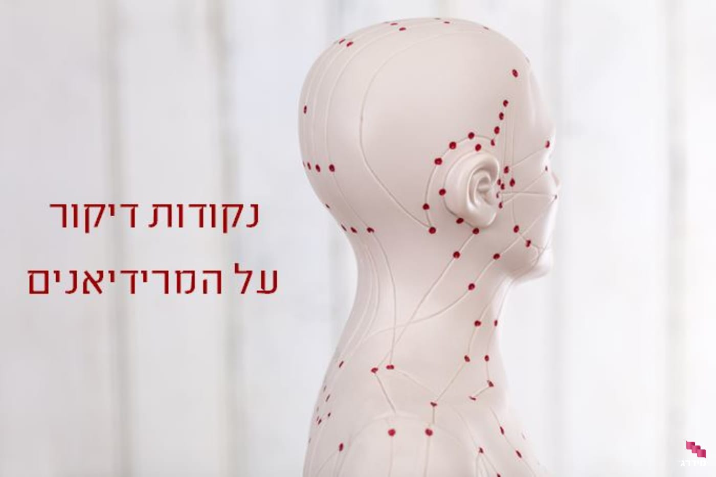 נקודות דיקור על המרידיאנים נקודות דיקור על המרידיאנים