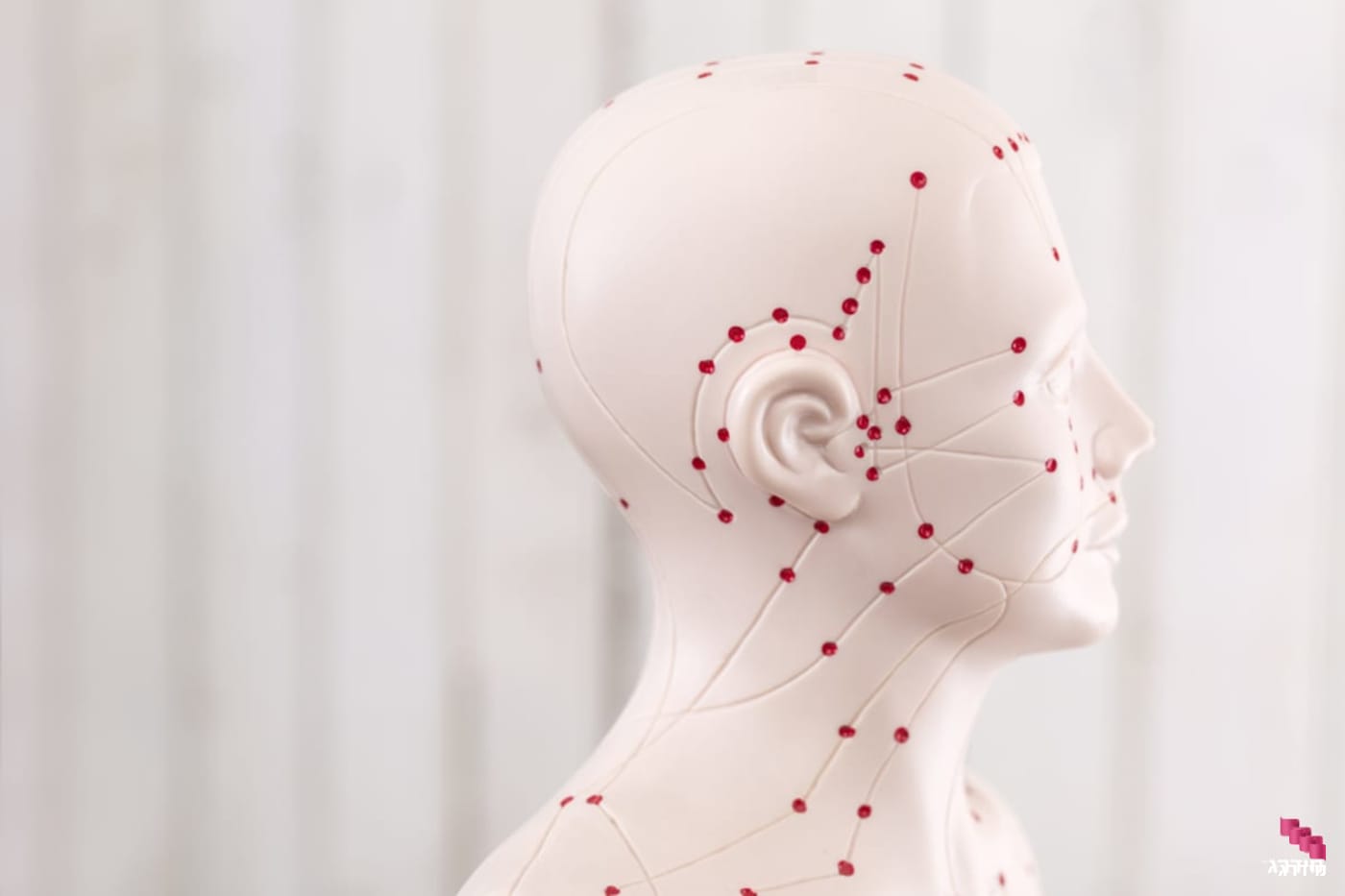 מסלולי אנרגיה לפי השיאצו