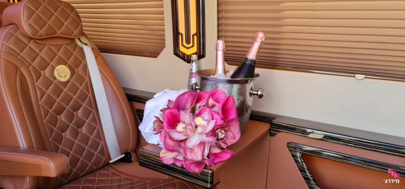 הסעה VIP להופעה הסעה VIP להופעה