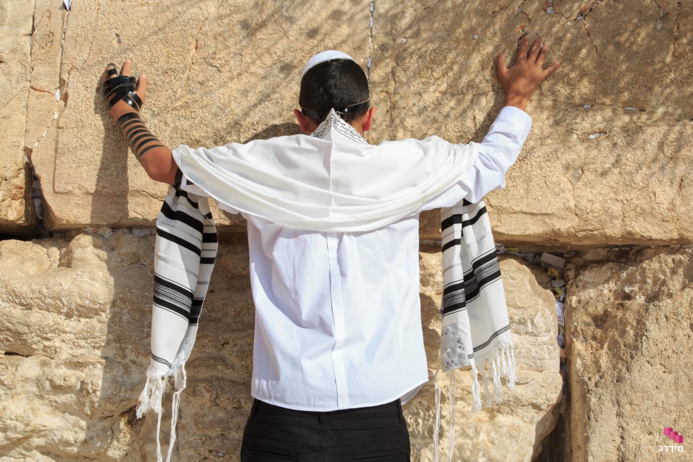 צילום עליה לתורה צילום עליה לתורה