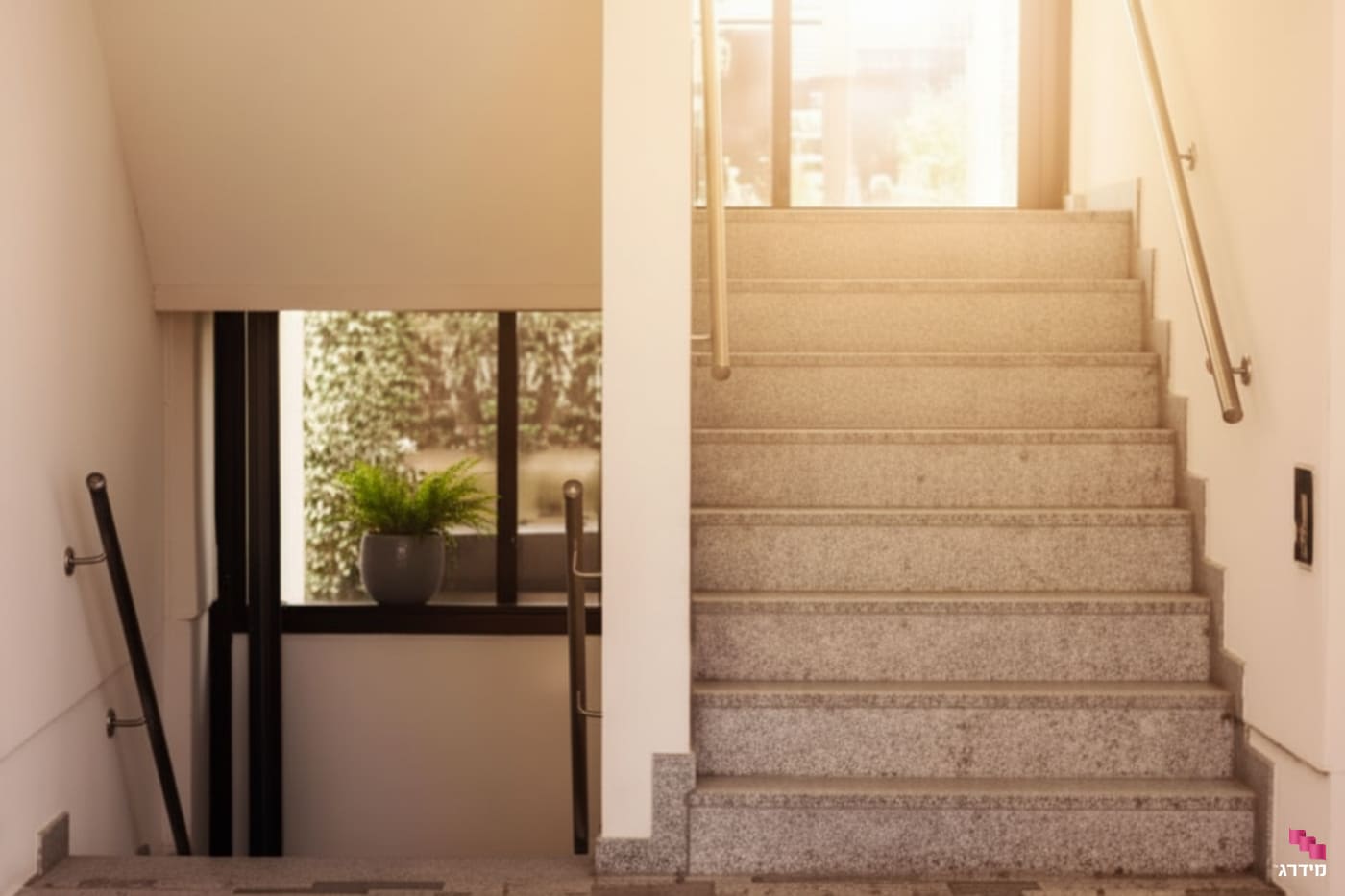 ניקיון חדר מדרגות מחיר