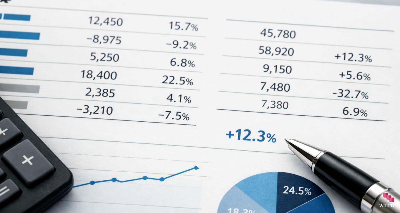 בדיקת נתונים