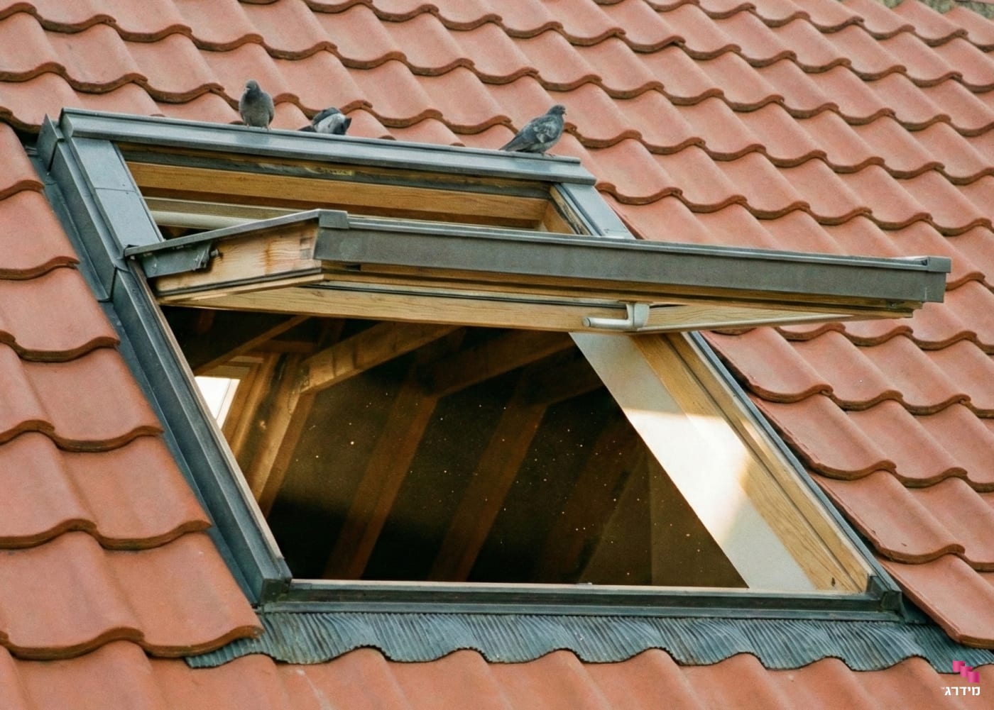 חלון סקיילייט