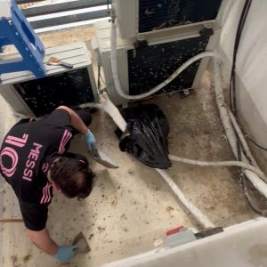 ניקיון צואת יונים