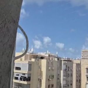 רשת נגד יונים