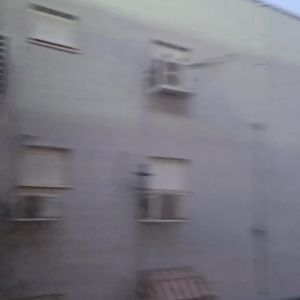 רשת להרחקת יונים