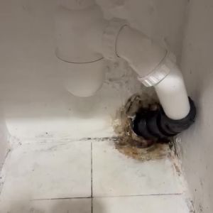 סיפון וכיור