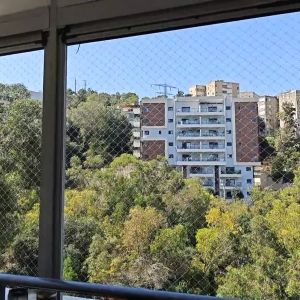 הרחקת יונים. 