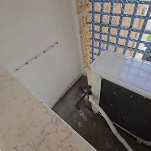 רשת להרחקת יונים