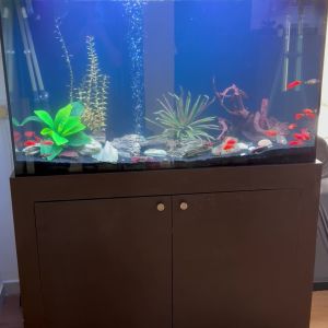 התקנת אקווריום