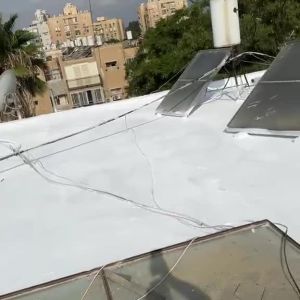 קולטים ודודים