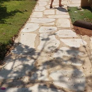הקמת גינה. 