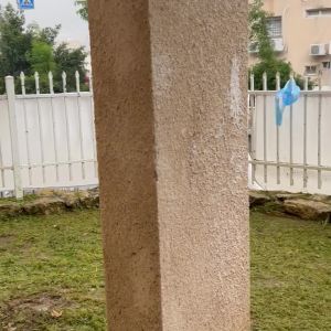 גינה