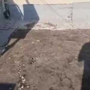 לפני השיפוץ של היריעות