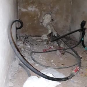 פינוי הקן ואיטום החור