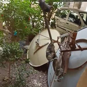 פסולת מסודרת ליד הבניין