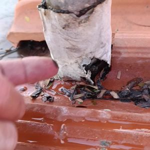 תיקון נזילה בגג