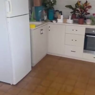 ניקיון