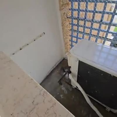 רשת להרחקת יונים