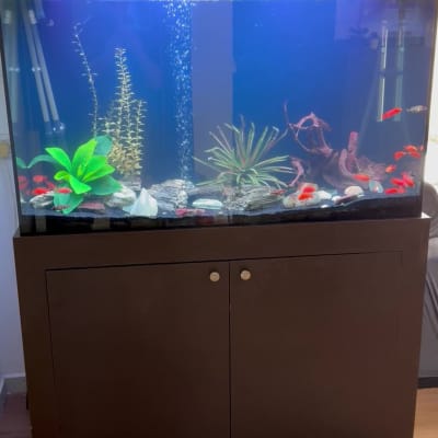 התקנת אקווריום