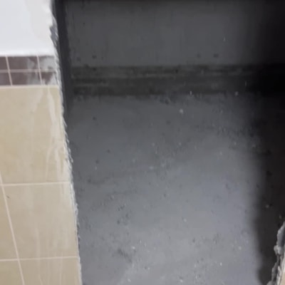 שיפוצניקים