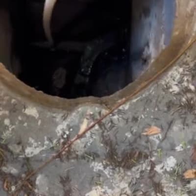 הסבר על הבעיה בביוב הראשי של הבניין