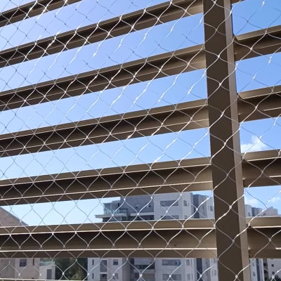 הרחקת יונים