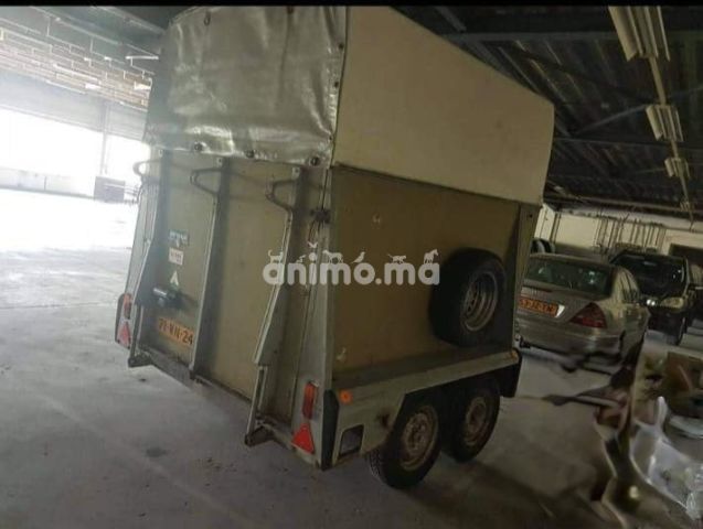 Animo - عربة لنقل الخيول 