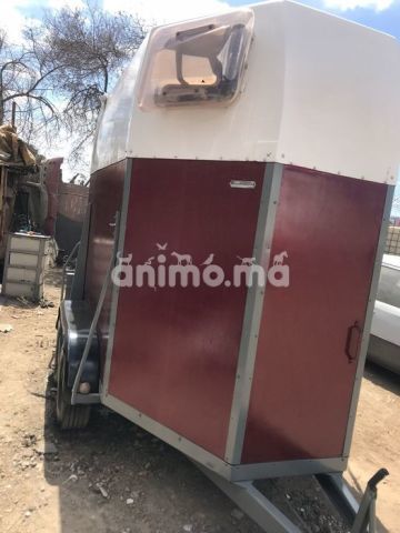 Animo - excellente vane 2 places dédiée aux chevaux