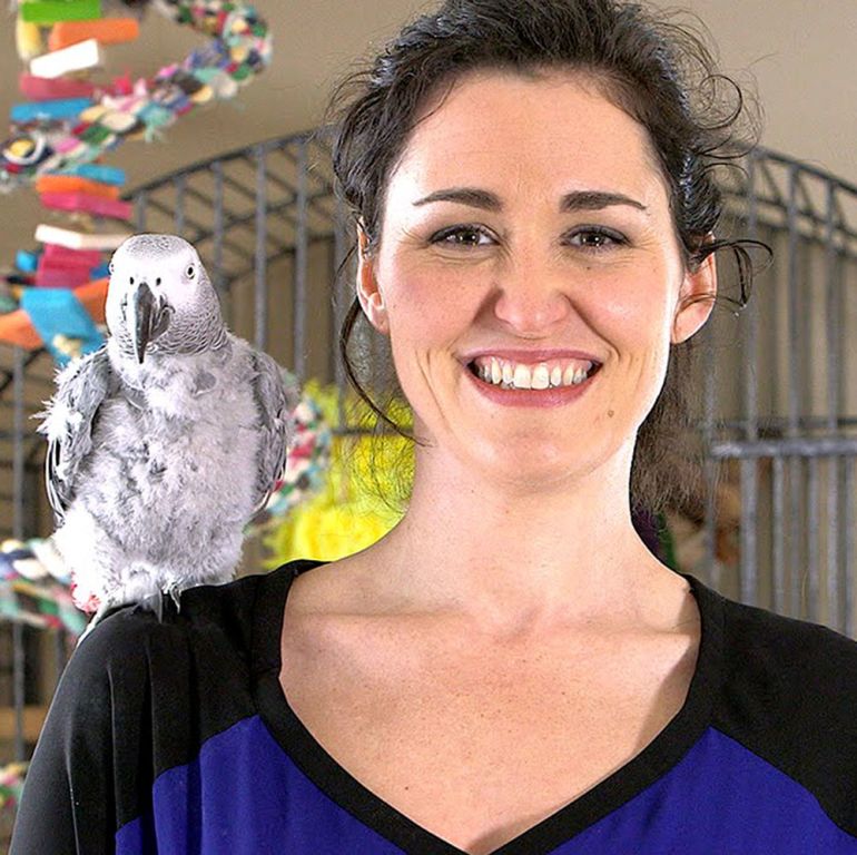 Animo - Dressage des oiseaux