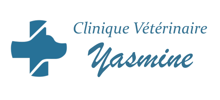 Animo - Clinique vétérinaire Yasmine