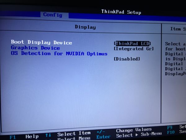 ThinkPad T530 BIOS Display Settings for Hackintosh