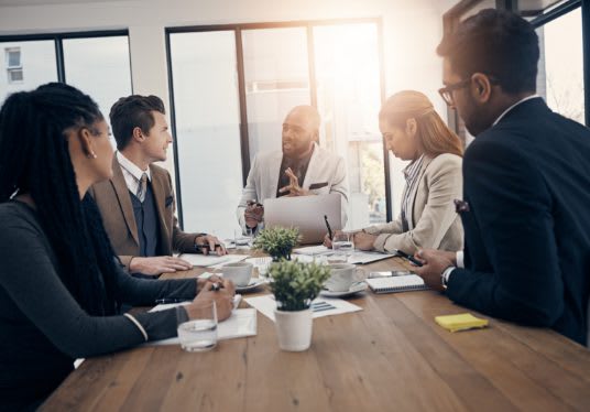 MI Group USA - Growth Strategy Development and Management